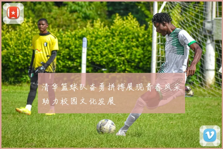 清华篮球队奋勇拼搏展现青春风采助力校园文化发展