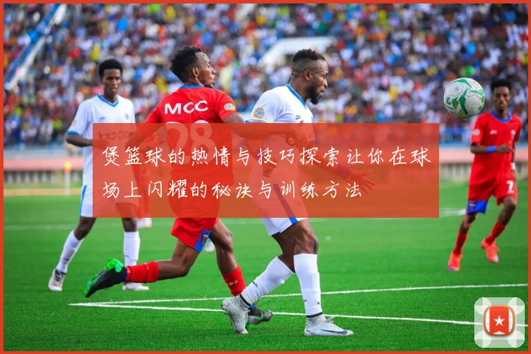 煲篮球的热情与技巧探索让你在球场上闪耀的秘诀与训练方法