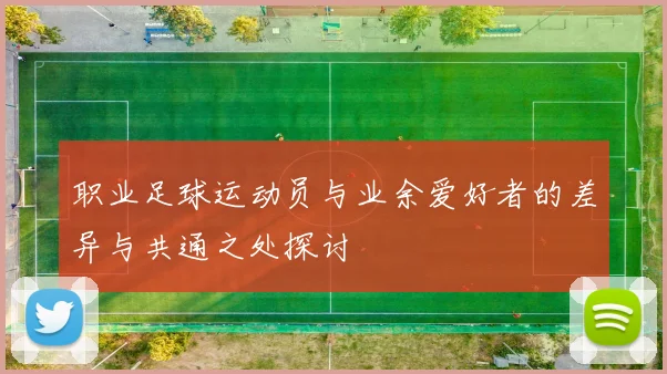 职业足球运动员与业余爱好者的差异与共通之处探讨