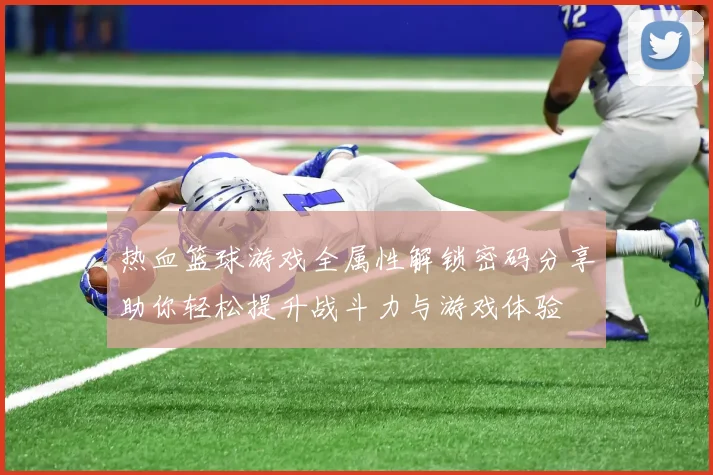 热血篮球游戏全属性解锁密码分享助你轻松提升战斗力与游戏体验